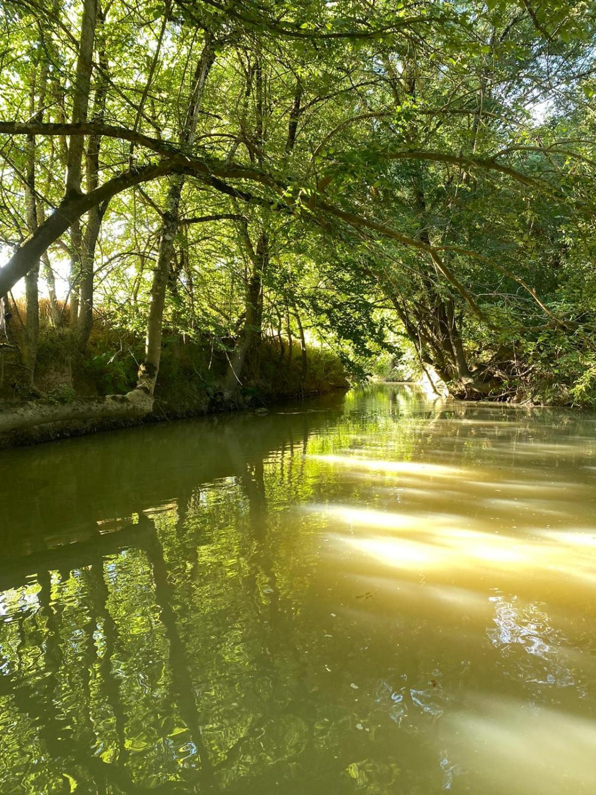 Gite Le Moulin Samsara Homps  Εξωτερικό φωτογραφία